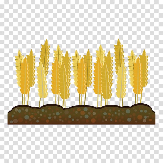 Wheat Crop Agriculture , wheat transparent background PNG clipart