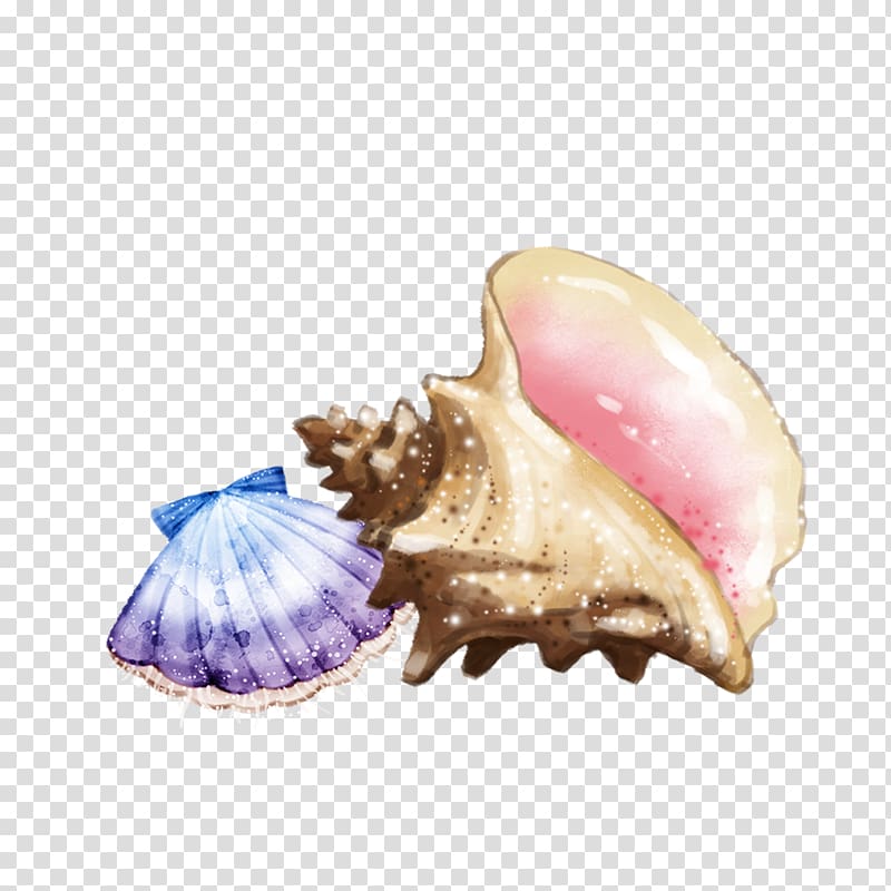 beige and purple shell ornaments, Sea snail Seashell Conch, Shells and conch transparent background PNG clipart
