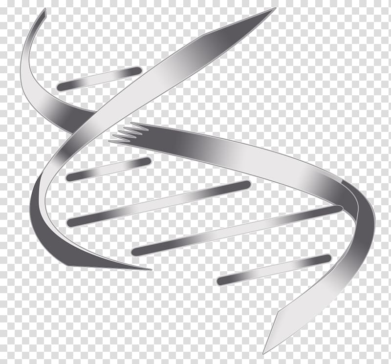 Nucleic acid double helix DNA Information, others transparent background PNG clipart