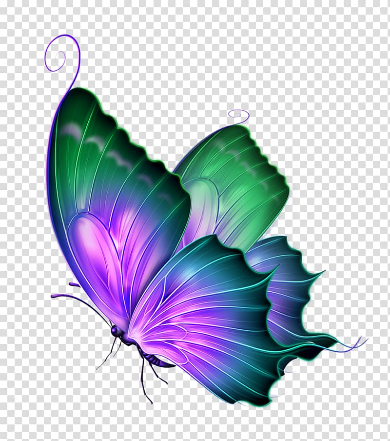 green and purple butterfly illustration, Butterfly Computer Icons , Green Dream Butterfly Decorative Patterns transparent background PNG clipart