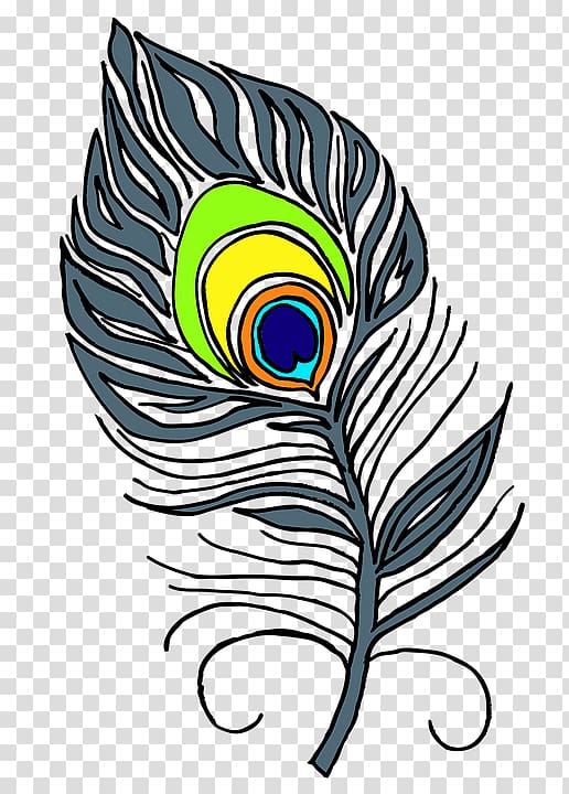 Feather Bird Peafowl , feather transparent background PNG clipart
