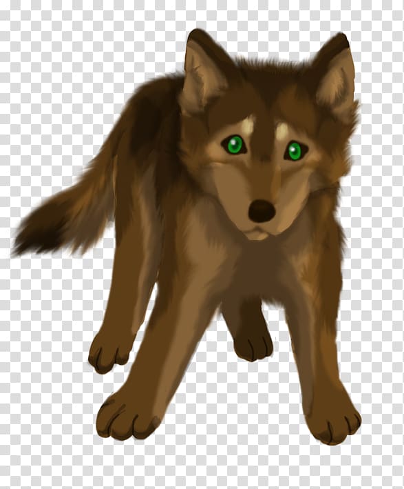 Cute Wolf Cute Wolf Puppy HD wallpaper  Pxfuel