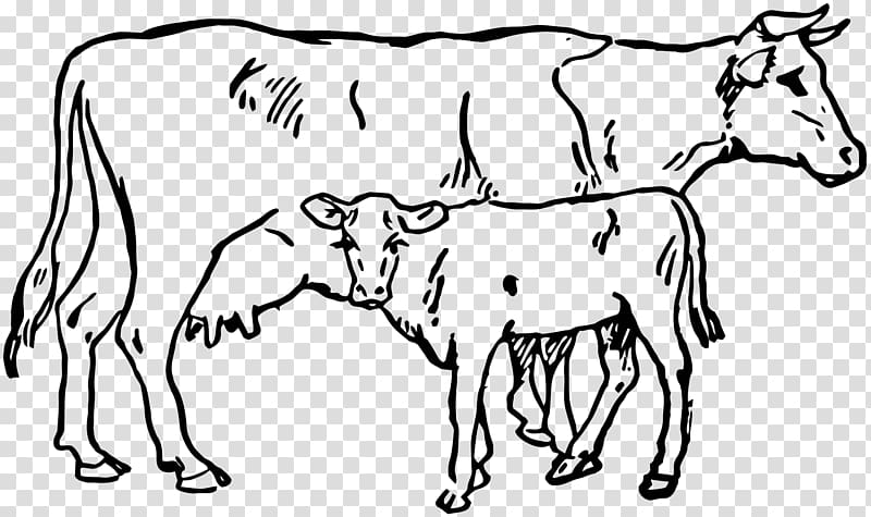 Hereford cattle Calf Angus cattle , calf transparent background PNG clipart