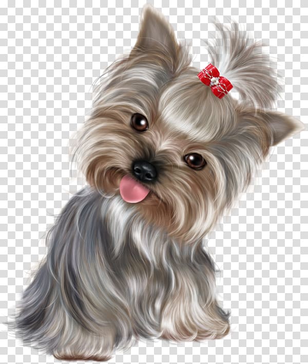 black and tan Yorkshire terrier digital painting, Yorkshire Terrier Miniature Schnauzer Puppy Purebred dog , 3d dog transparent background PNG clipart
