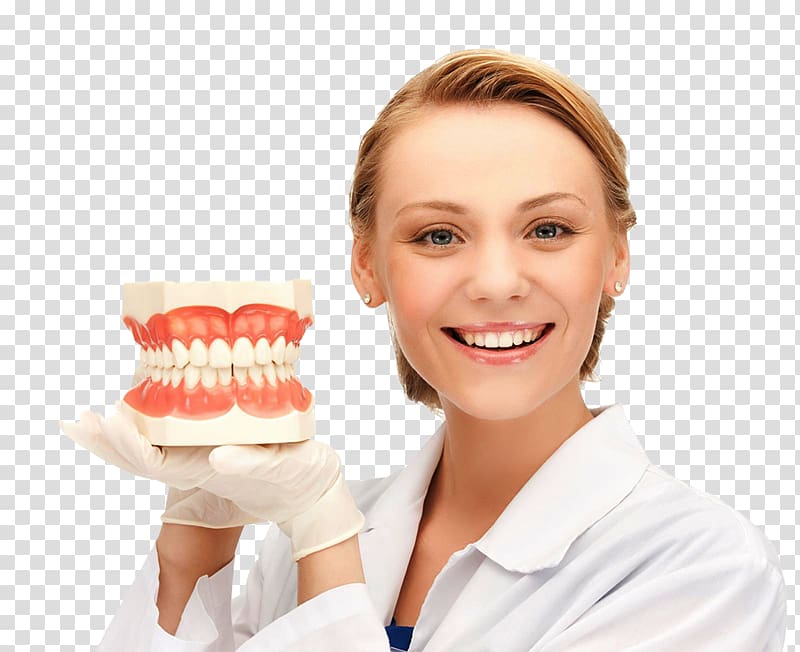 Tooth Dentistry Dentures Jaw, dental background transparent background PNG clipart