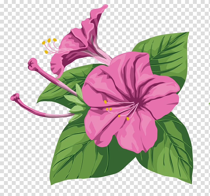 Ipomoea nil Flower Purple Hibiscus, tropical flower transparent background PNG clipart