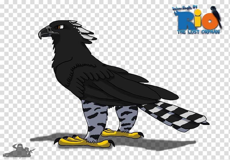 Eagle YouTube Rio Drawing Fan art, eagle transparent background PNG clipart