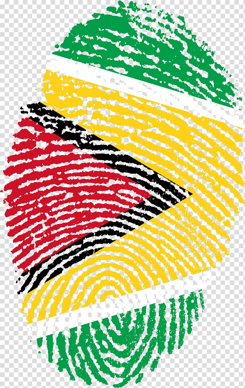 Flag of Guyana National flag Flag of Morocco Flag of Malawi, grenade transparent background PNG clipart
