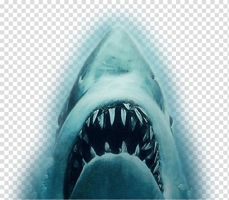 YouTube Shark Jaws Trailer Film, white shark transparent background PNG clipart