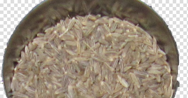 Indian cuisine Herb Coriander Spice Garam masala, Khana transparent background PNG clipart