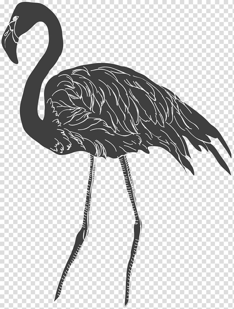 Red-crowned crane Bird Black and white, Black pattern crane transparent background PNG clipart