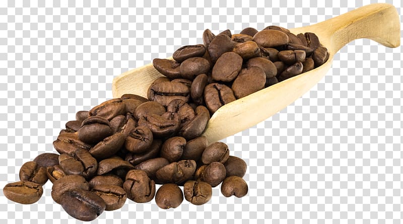 Jamaican Blue Mountain Coffee Cafe Espresso Coffee bean, Coffee transparent background PNG clipart