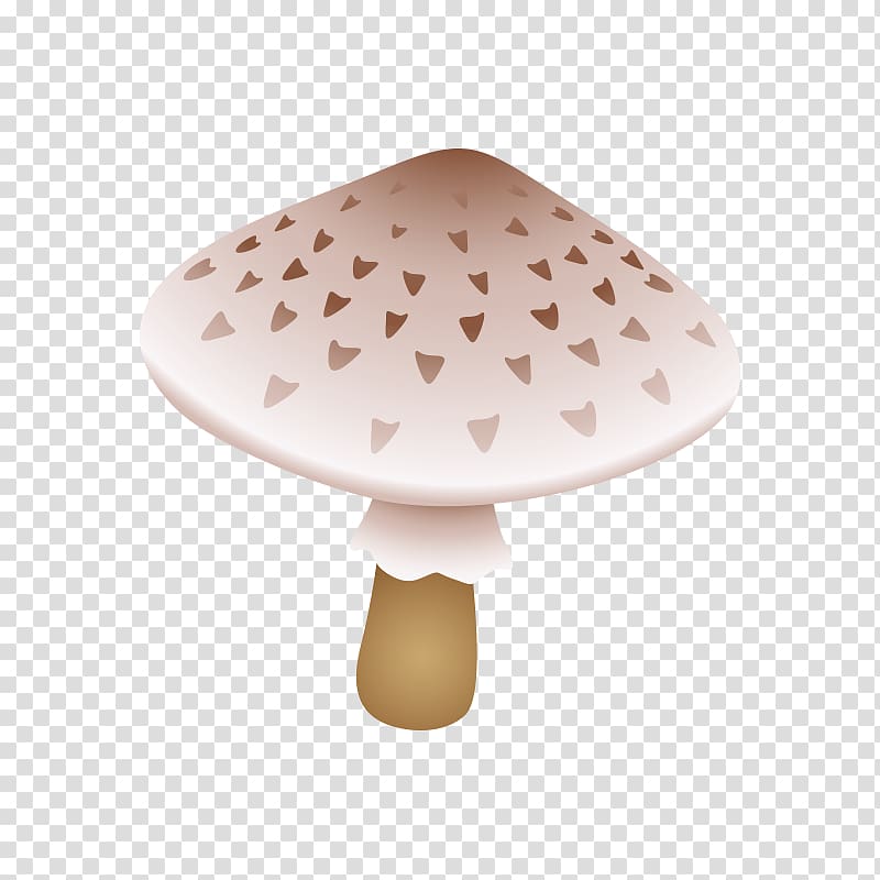 Tricholoma portentosum Mushroom Fungus Amanita muscaria, mushroom,fungus transparent background PNG clipart