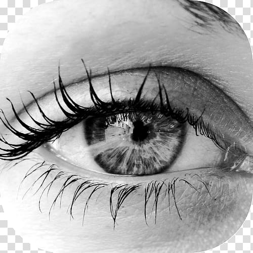 Human eye Dry eye syndrome Black eye, Eye transparent background PNG clipart