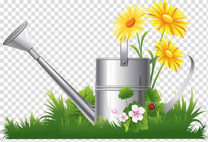 Chamomile , kitchen tools transparent background PNG clipart