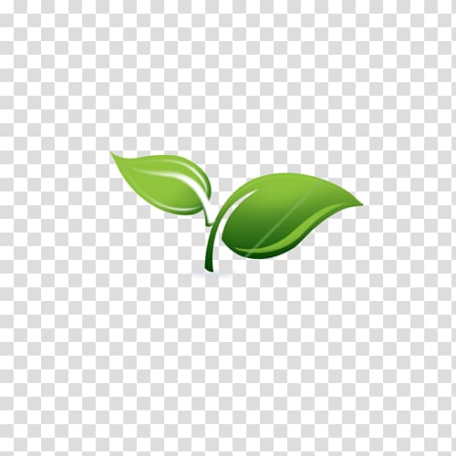 Spring Framework Spring & Sprout Support Services, LLC Enterprise JavaBeans Application server, spring framework logo transparent background PNG clipart