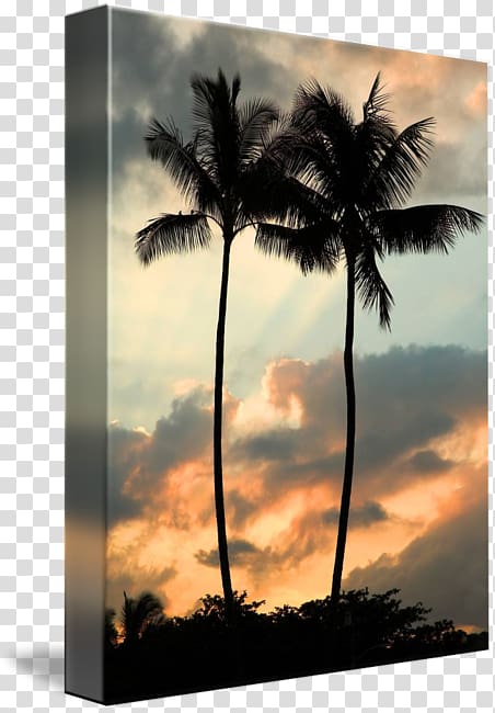 Asian palmyra palm Heartbroken Promises Sky plc, Hawaiian sunset transparent background PNG clipart