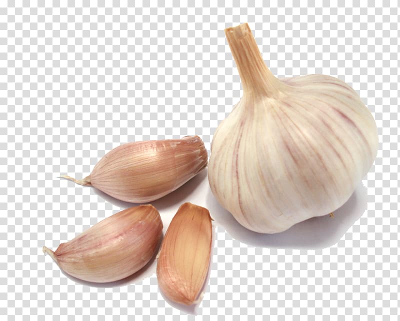 Solo garlic Vegetable Food , Garlic transparent background PNG clipart