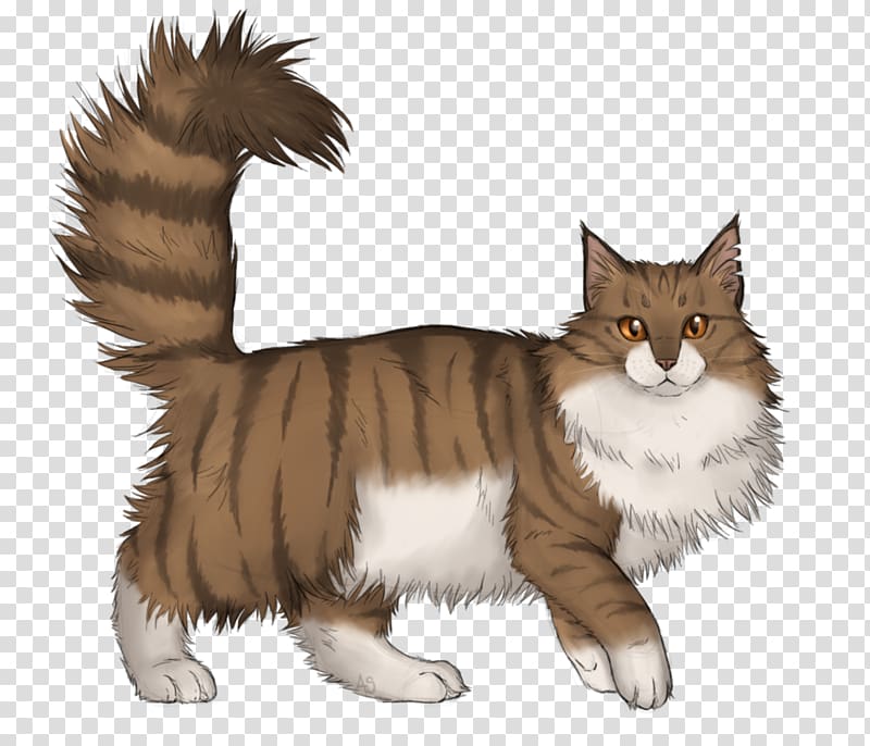 Manx cat Norwegian Forest cat Maine Coon Whiskers Domestic short-haired cat, kitten transparent background PNG clipart