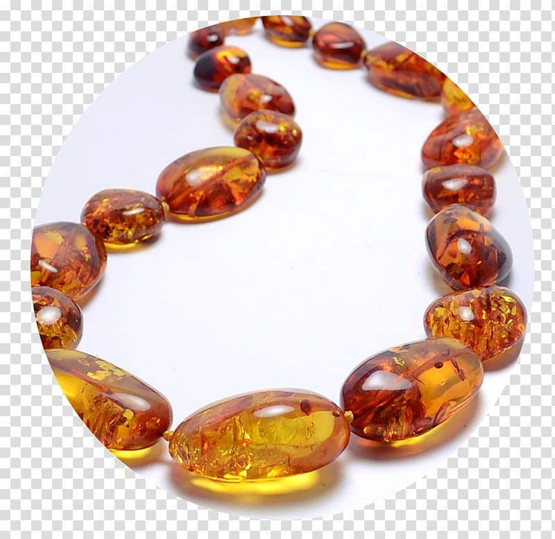 Baltic amber Necklace Jewellery Gold, amber transparent background PNG clipart