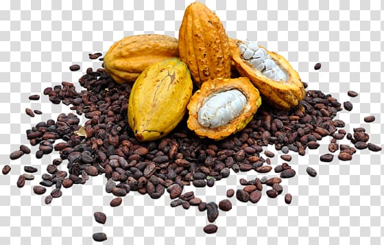 Spice mix Mixed spice Cocoa bean Superfood Mixture, others transparent background PNG clipart