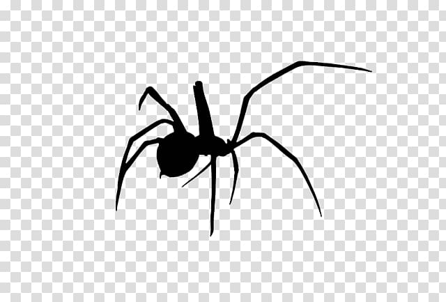 Redback spider Latrodectus hesperus Southern black widow Ant, spider transparent background PNG clipart