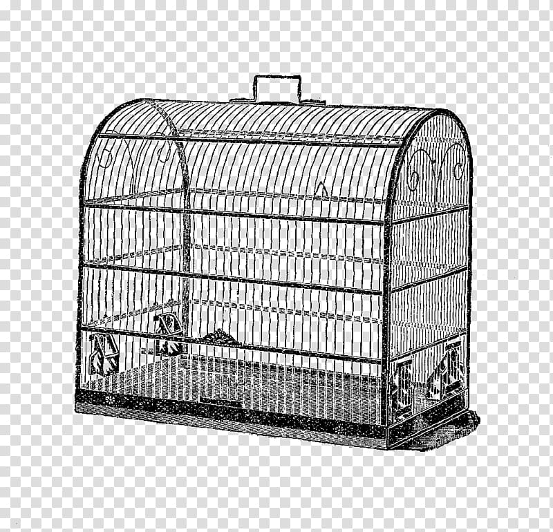 Birdcage Domestic canary , bird cage transparent background PNG clipart