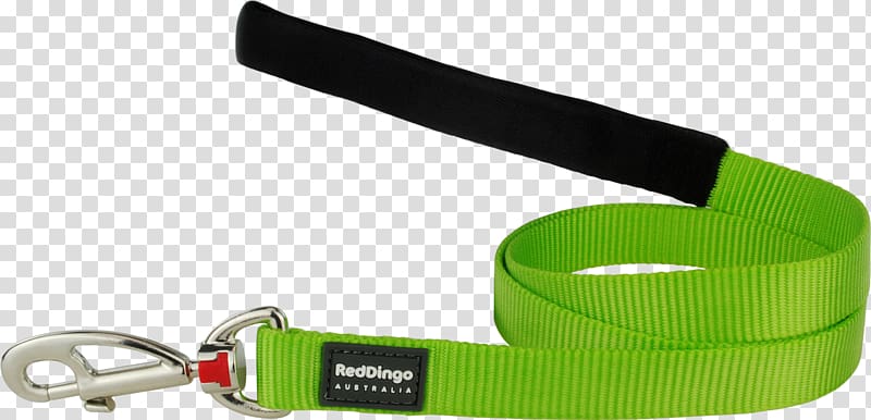 Leash Dog collar Cat Dingo, Dog transparent background PNG clipart