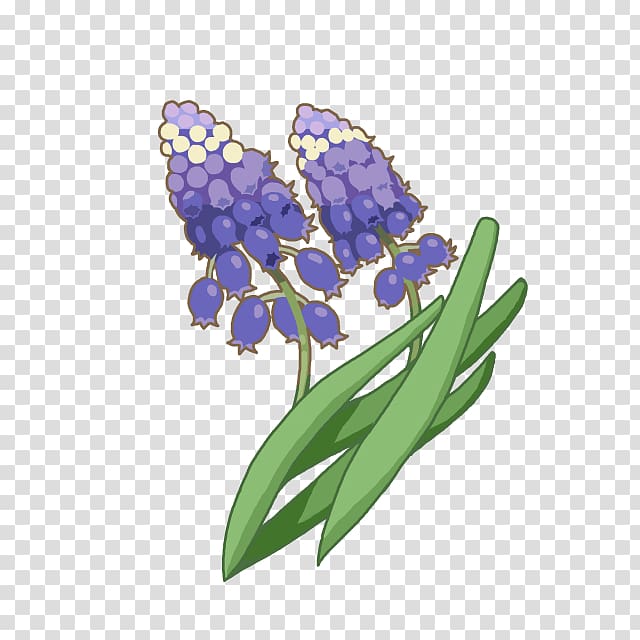 Hyacinth Cobalt blue Violet, violet transparent background PNG clipart