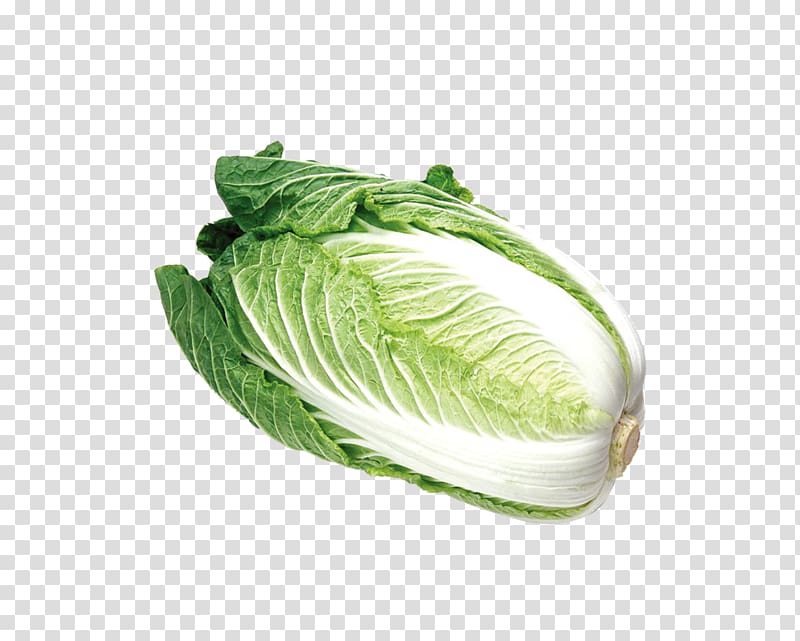 Chinese cabbage Chinese cuisine Fast food Vegetable Salad, Green cabbage transparent background PNG clipart