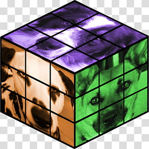 Cats Rubik's Cube Puzzle Game, cube transparent background PNG clipart thumbnail