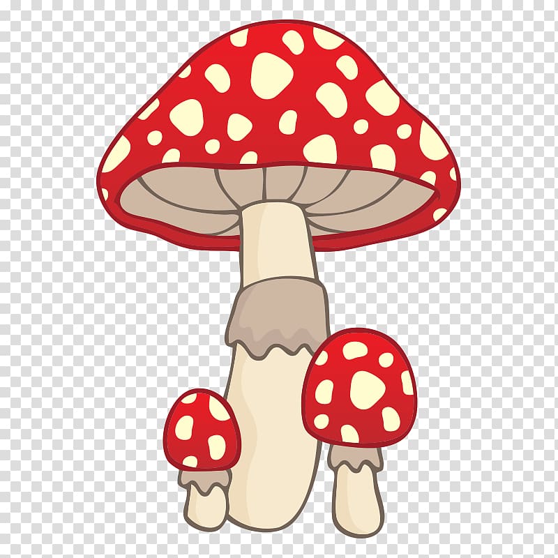 Mushroom Illustration, mushroom,fungus transparent background PNG clipart