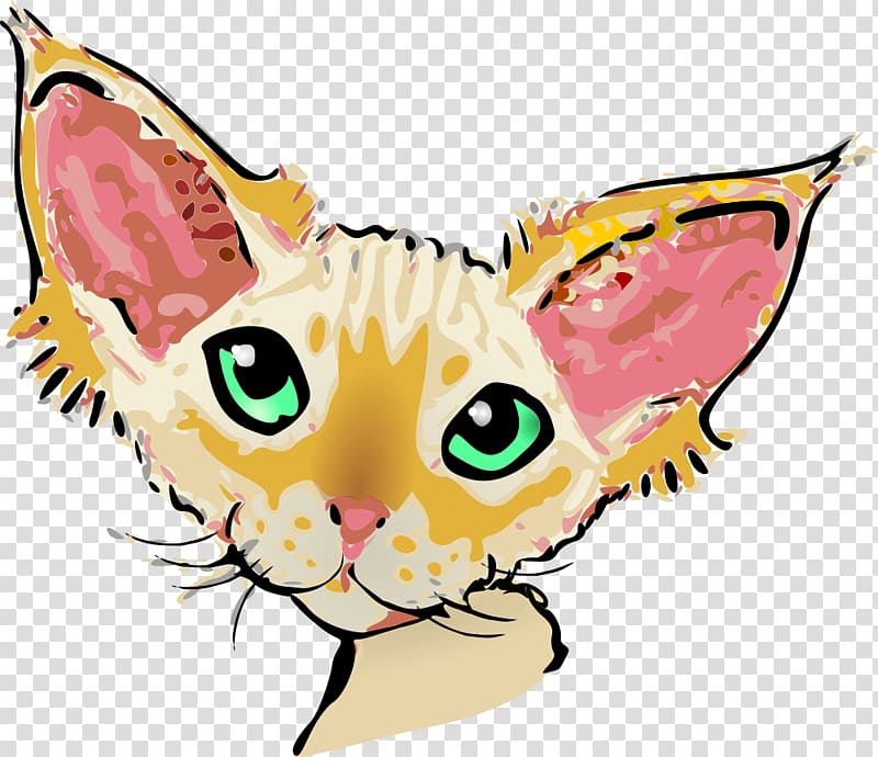Devon Rex Domestic short-haired cat Whiskers , kitten transparent background PNG clipart