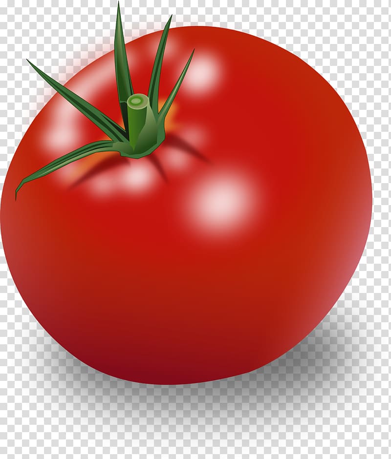 Vegetable Tomato sauce Cherry tomato , vegetable transparent background PNG clipart