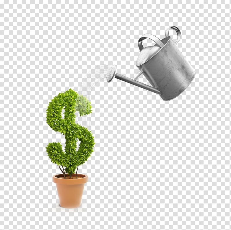 watering the american sapling transparent background PNG clipart