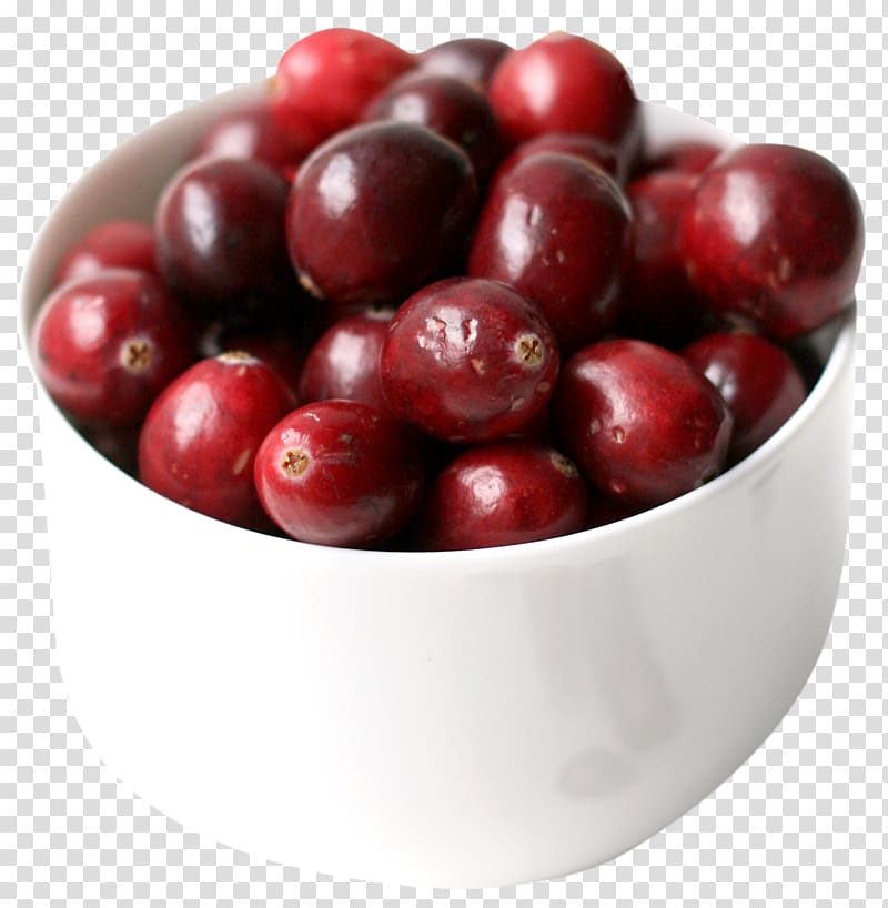 Cranberry Frutti di bosco Blueberry, Cranberry transparent background PNG clipart