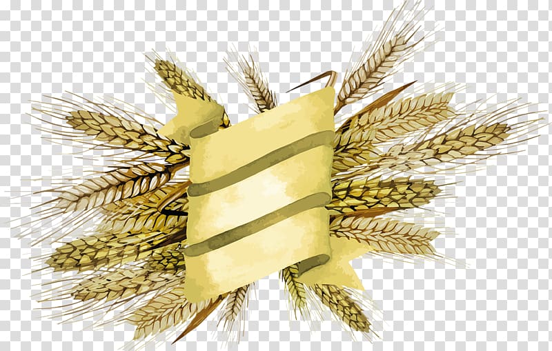 Emmer Cereal Broom-corn Millet, barley transparent background PNG clipart