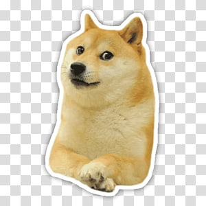 Doge Transparent Background Png Cliparts Free Download - doge roblox shirt id