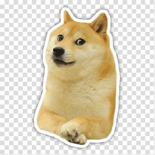 Dogecoin Sleeveless Shirt Run Jump Doge Doge Weather Others Transparent Background Png Clipart Hiclipart - roblox decal id doge