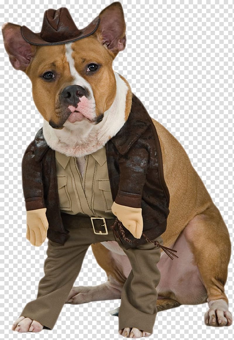 Dog Indiana Jones Halloween costume Cat, bone dog transparent background PNG clipart