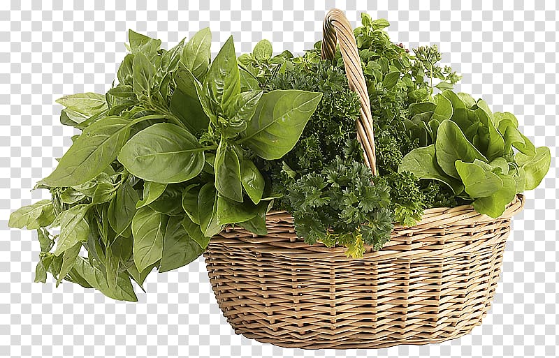 Herb file formats , Herbs transparent background PNG clipart