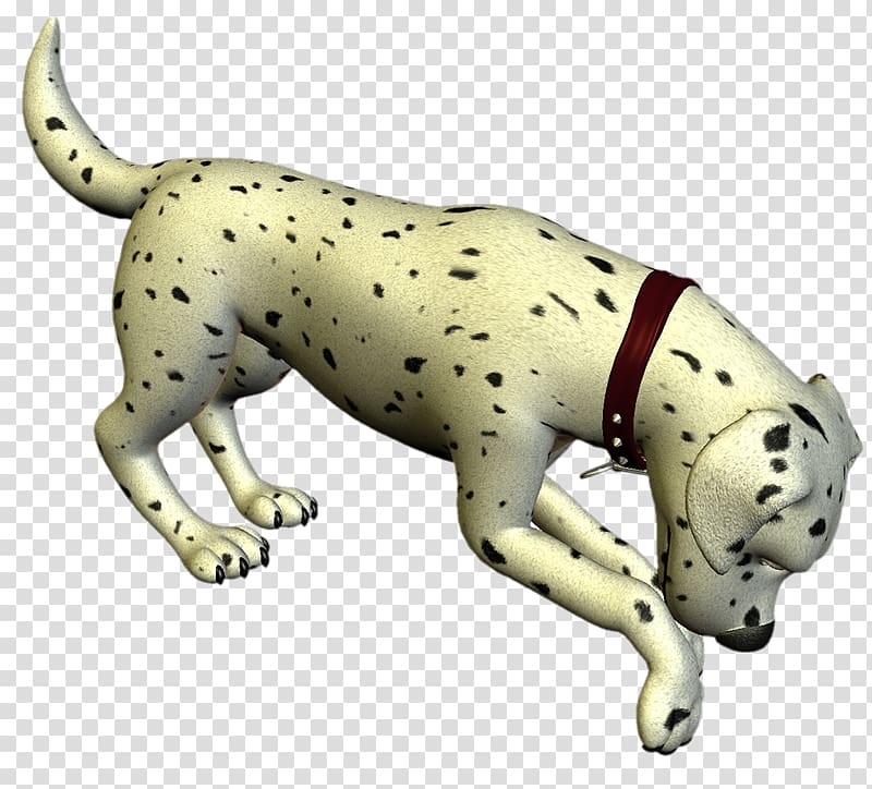 Dalmatian dog Puppy Dog breed Non-sporting group Cat, MASCOTAS transparent background PNG clipart
