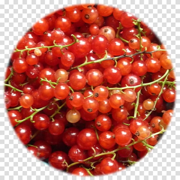 Zante currant Tart Food Lingonberry, others transparent background PNG clipart