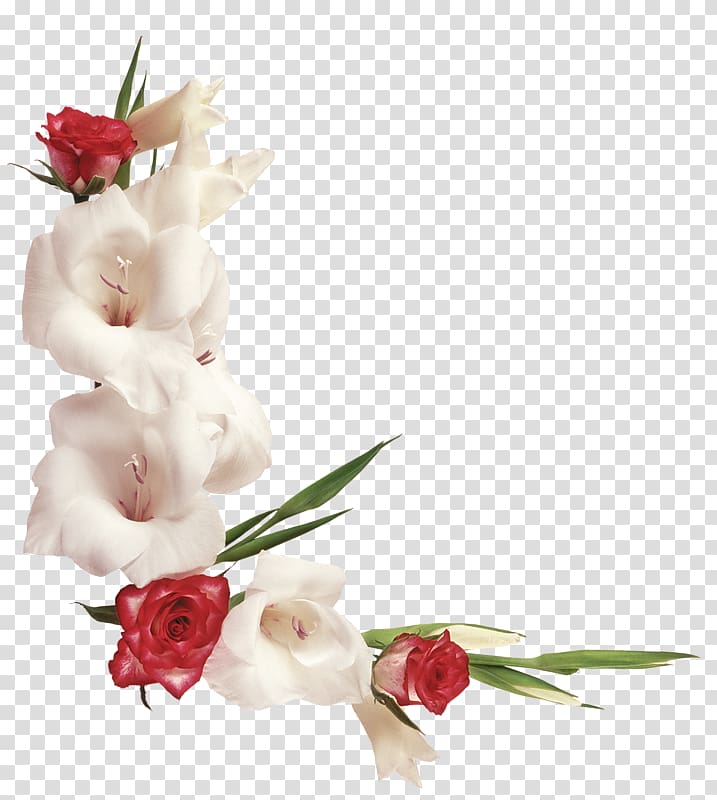 white and red flowers, Flower , Floral design Creative floral illustration transparent background PNG clipart