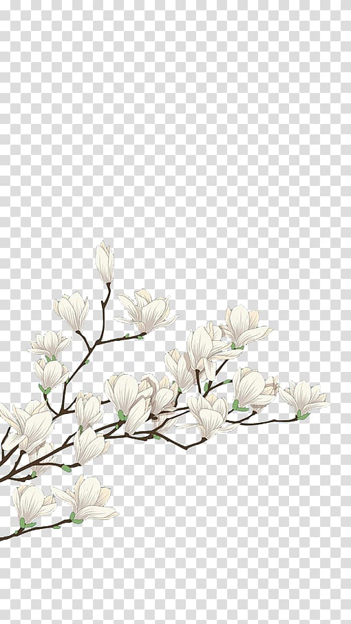 Flower White Computer file, White flowers, white cherry blossom transparent background PNG clipart