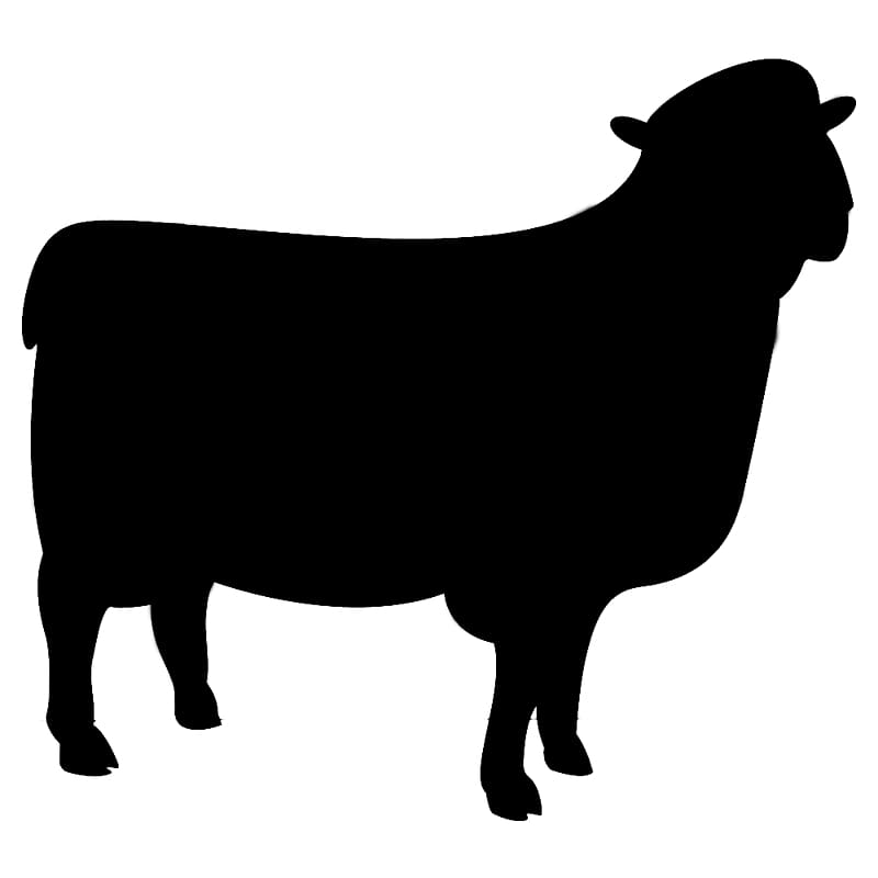 Sheep T-shirt Silhouette Blackboard Shadow, Chalkboard Shape transparent background PNG clipart