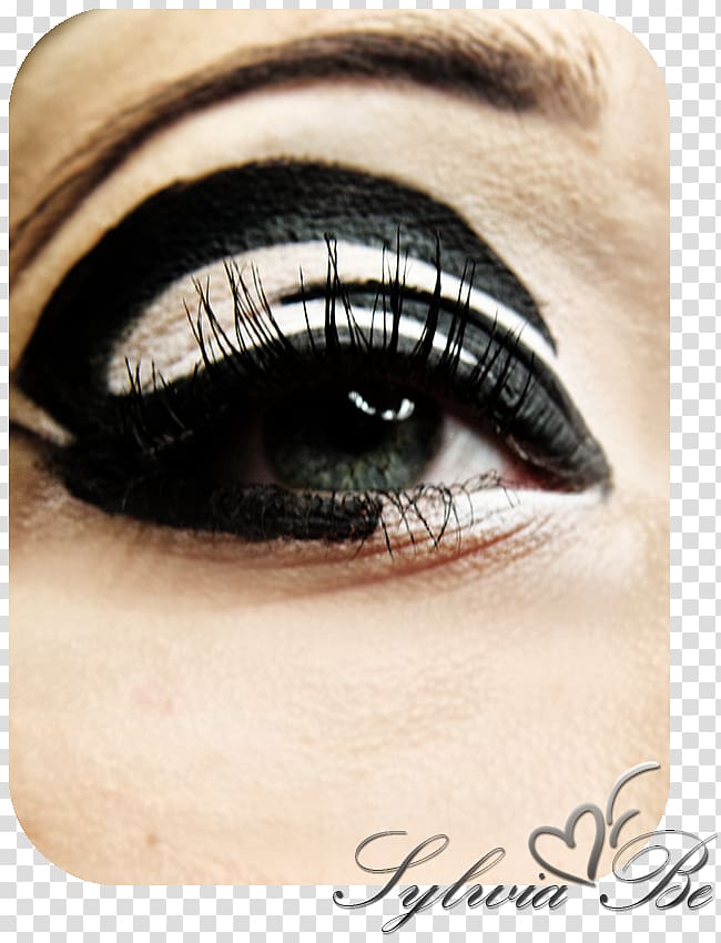 Eyelash extensions Eye liner Eye Shadow Lip liner, Make up and nails transparent background PNG clipart