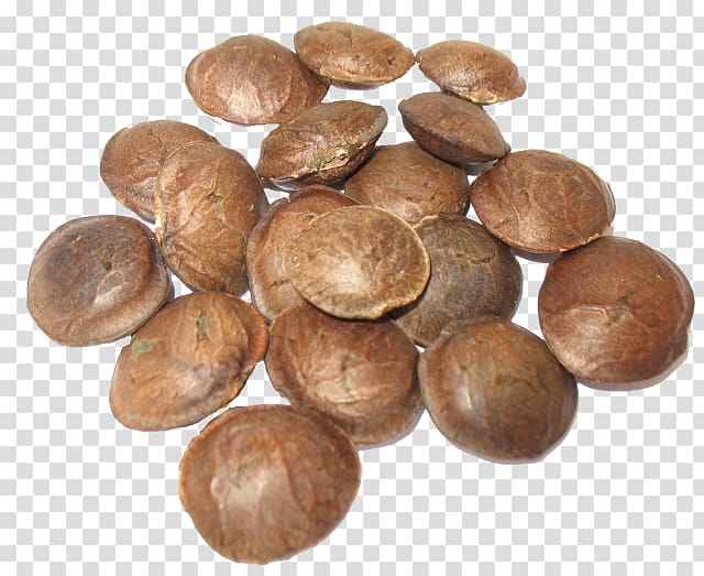 Plukenetia volubilis Acid gras omega-3 Sacha inchi oil Seed oil, oil transparent background PNG clipart