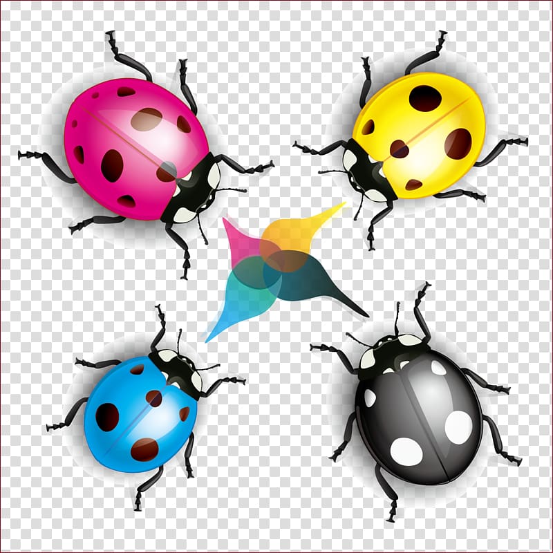 Coccinella septempunctata Ladybird Cartoon Illustration, color realistic ladybug transparent background PNG clipart