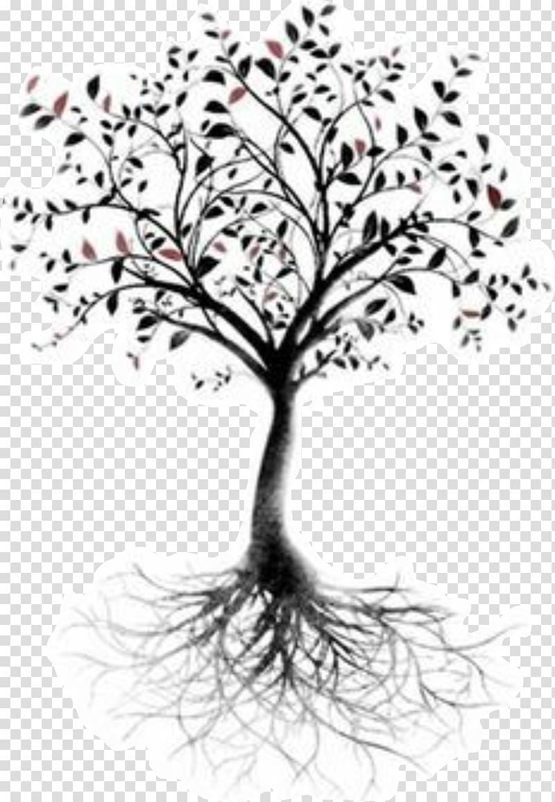 Tree of life Root Tattoo Branch, tree transparent background PNG clipart